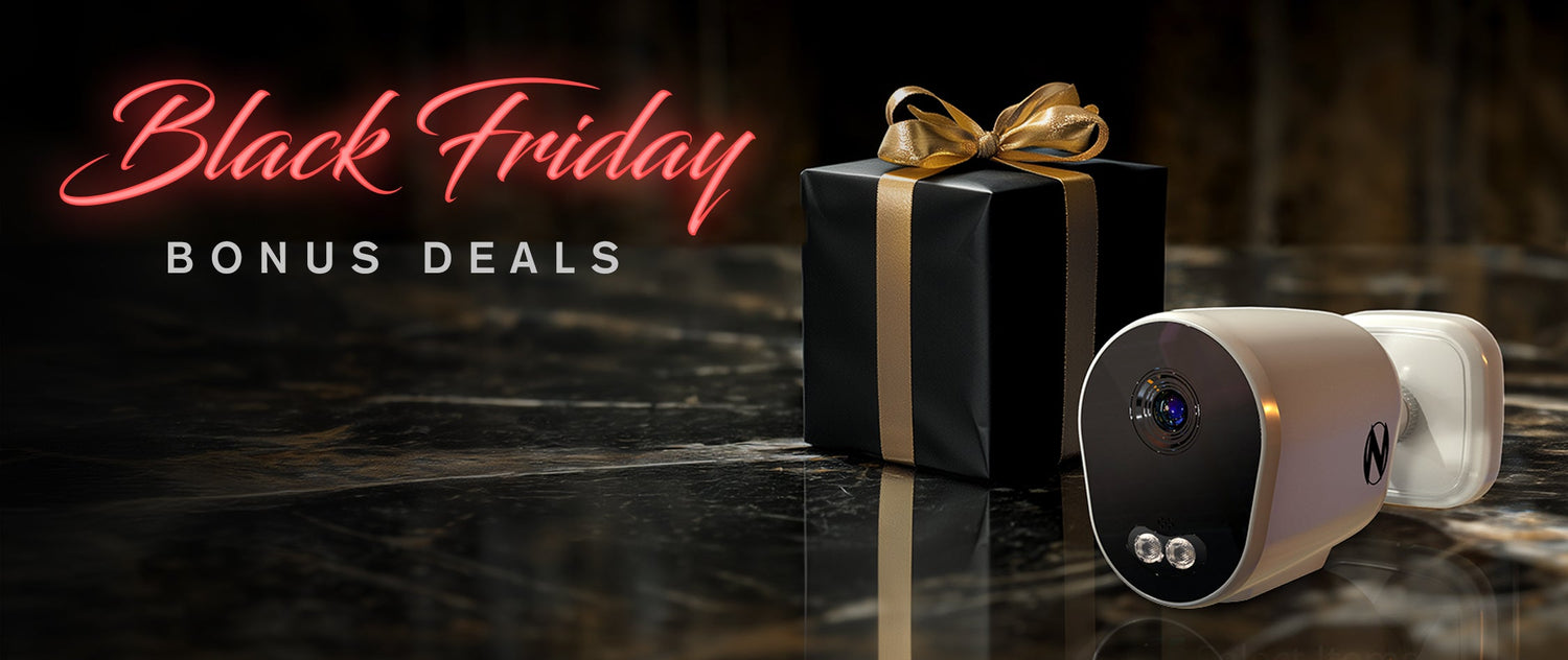 Black Friday Savings up to 50%