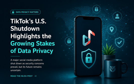 Why is TikTok banned in the United States and what are the concerns behind the decision?